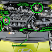 gdzie jaki płyn w hyundai i20 na egzaminie